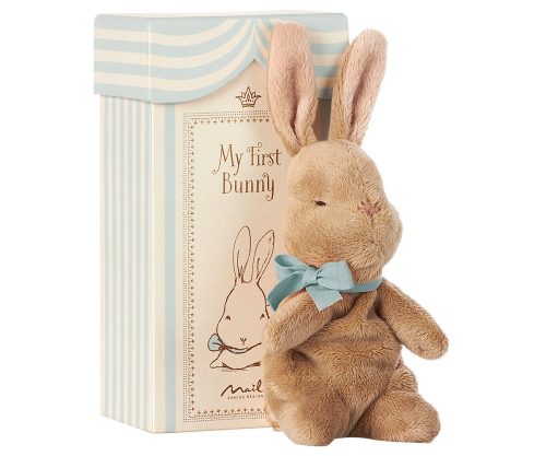 My first bunny in box