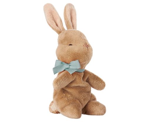 My first bunny in box - Imagen 2