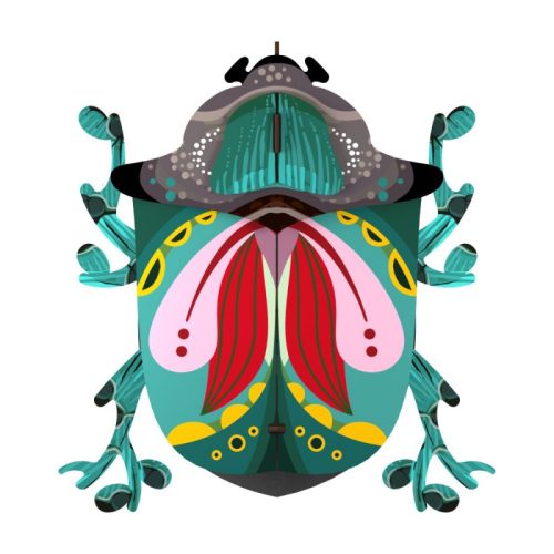 Escarabajo "Paul"