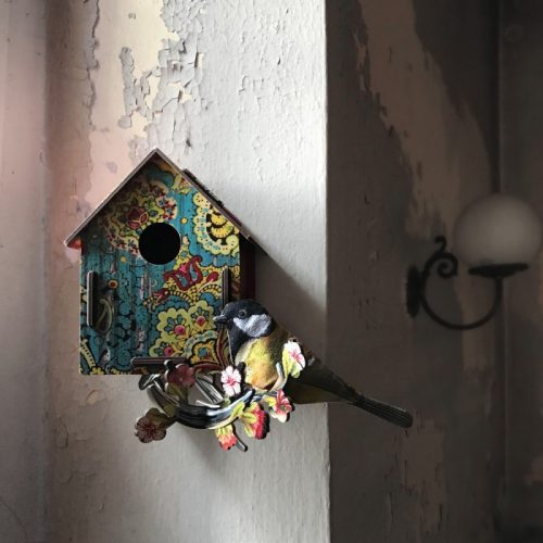 Casa Pájaros "Serenade" - Imagen 2