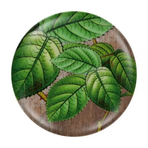 Plato Melamina "Minty"